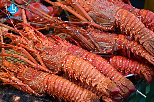Cách rửa tôm hùm sạch