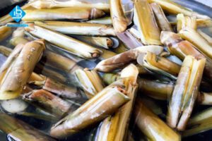 Cách làm sạch ốc móng tay nhanh nhất